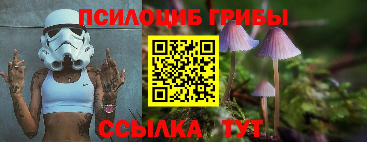 Новочебоксарск  Галлюциногенные грибы Psilocybe  наркотики  Вход с VPN 